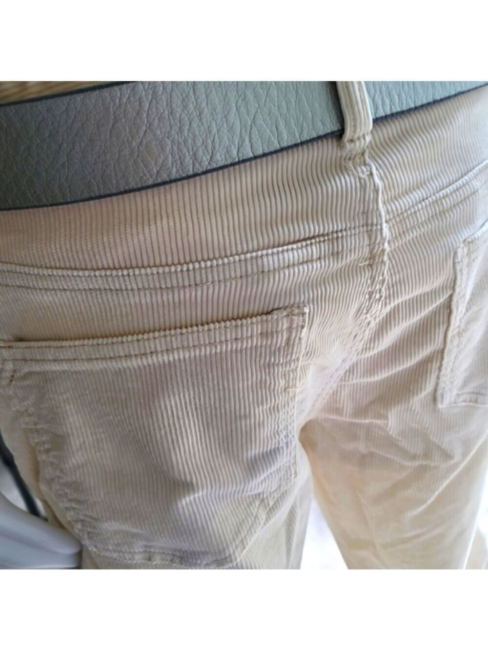 Anthropologie Pilcro Slim Boyfriend Corduroy Pants Size 29